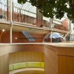 Forest Playscape Office 3