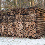 Log Cabin Office 2