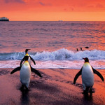 National Geographic Antarctica - 2