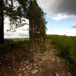 Treehotel-Sweden-1