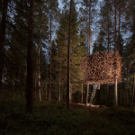 Treehotel-Sweden-15
