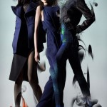 ming xi xiao wen wan xiao lane crawford fall 2012 campaign photographer nick knight 6