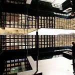 rosa-muerta-joshua-tree-national-park-robert-stone_2