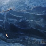 spill aerial photography by daniel beltra gulf of mexico oil rigs 4