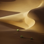 shawn van eeden dunescape landscape photography of namib desert 4