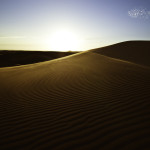 shawn van eeden dunescape landscape photography of namib desert 9
