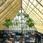 Book Mountain by MVRDV 3
