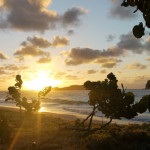 Hotel Chocolat - St Lucia 10