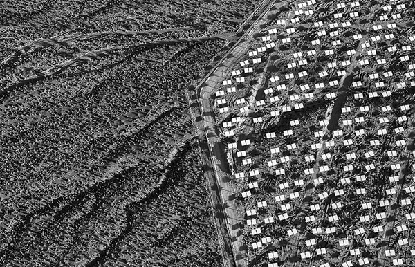 America's Largest Solar Farm by Jamey Stilling 4