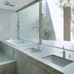 Optical Glass House by Nakamura and NAP 12