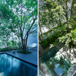 Optical Glass House by Nakamura and NAP 5
