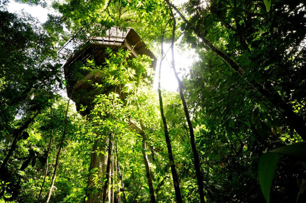 Unique Hotels - Finca Bellavista Treehouse Community 4