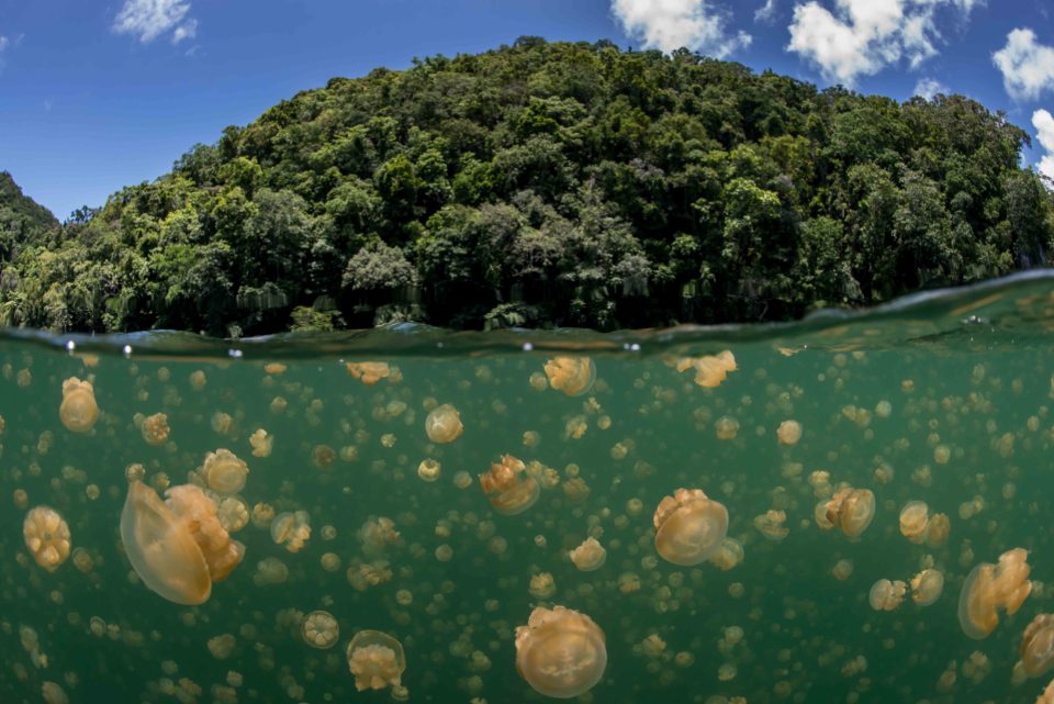 via voices.nationalgeographic.com