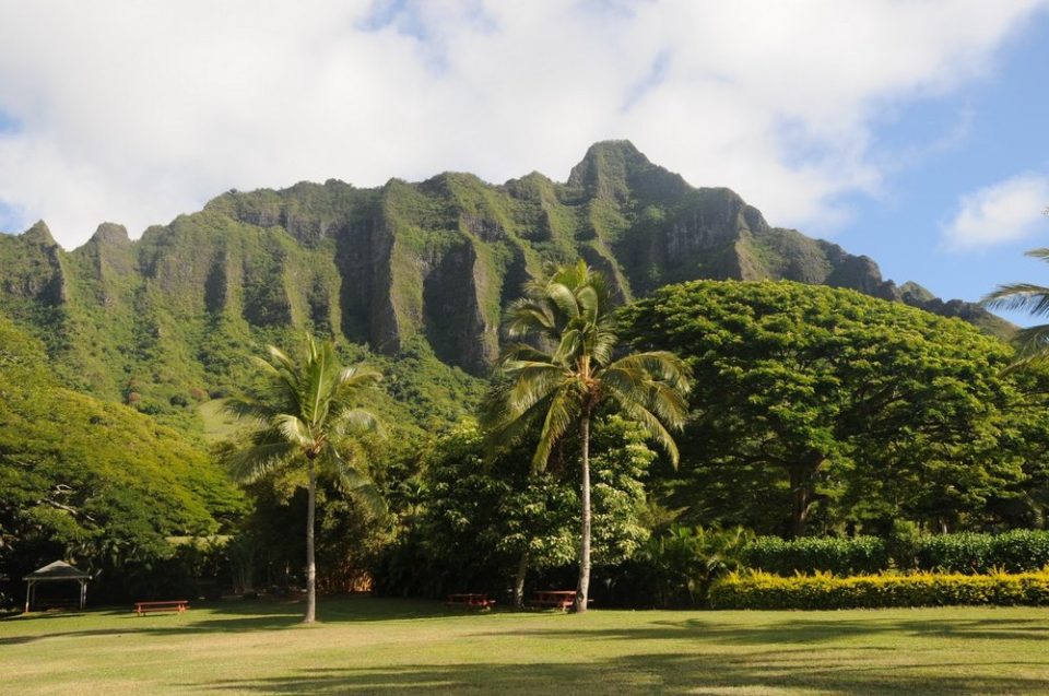 via hawaiidiscountblog.com