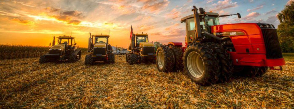 via modernfarmer.com