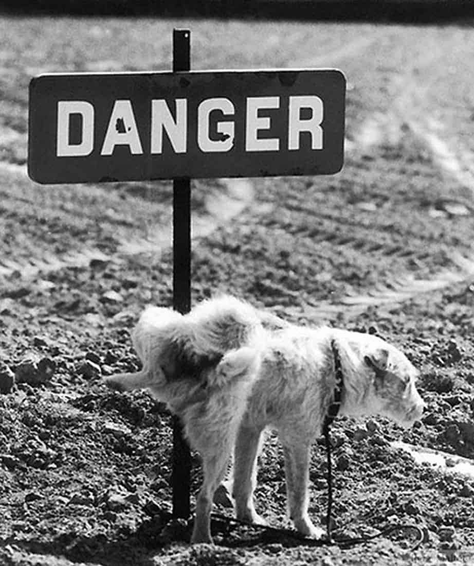 Danger – René Maltête street photograph