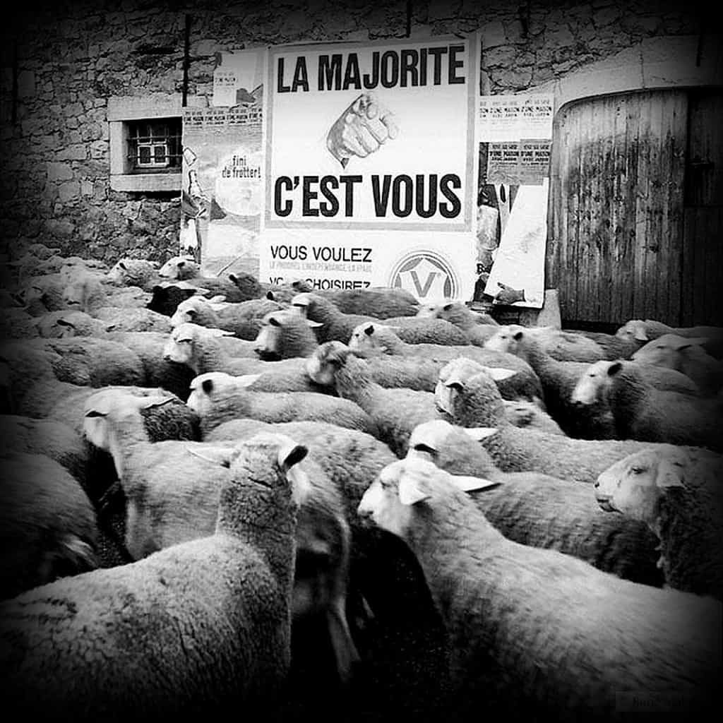 The Majority – René Maltête street photograph