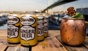 The Best Ginger Beers, or Summer Drinks Better than Ginger Ale