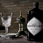 Bitter Berries: The 19 Top Gins To Sip or Mix