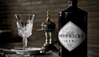 Bitter Berries: The 19 Top Gins To Sip or Mix
