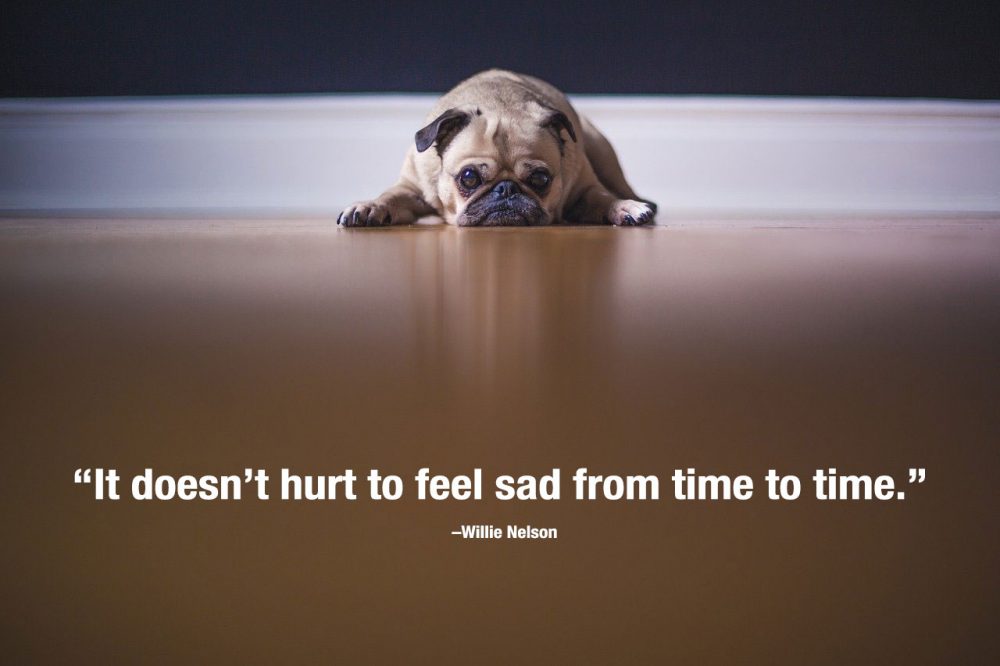 “It-doesn’t-hurt-to-feel-sad-from-time-to-time.”-—-Willie-Nelson